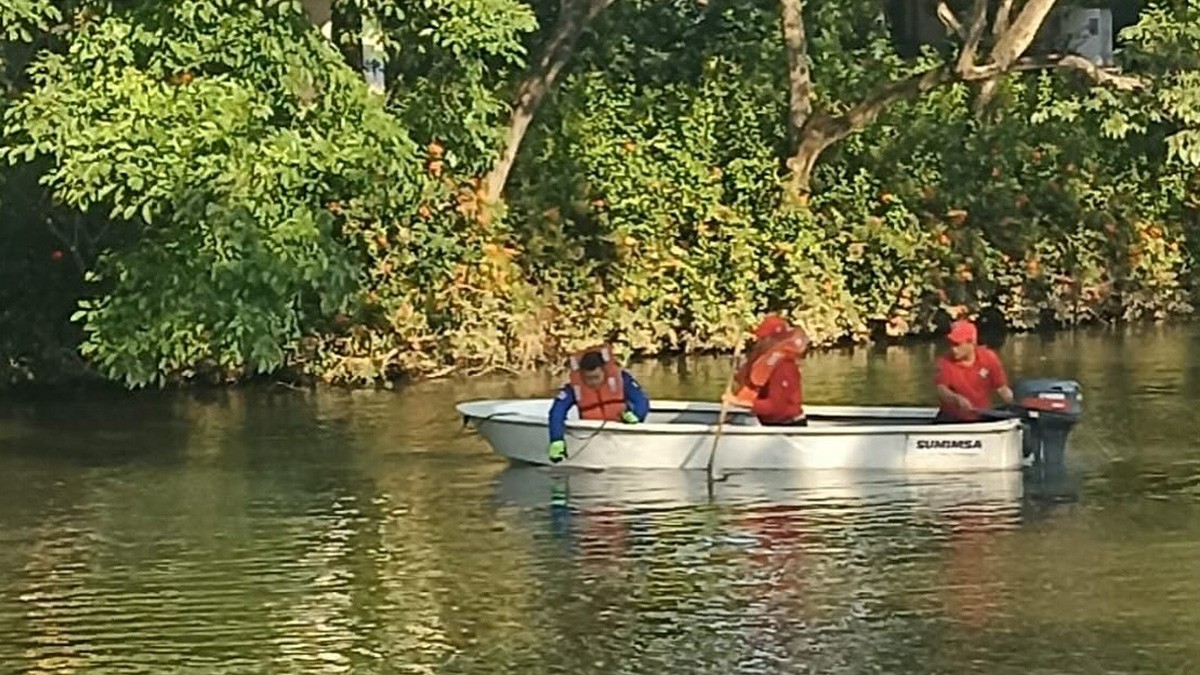 Cocodrilo arrastra y ahoga a un hombre en esta ciudad de México