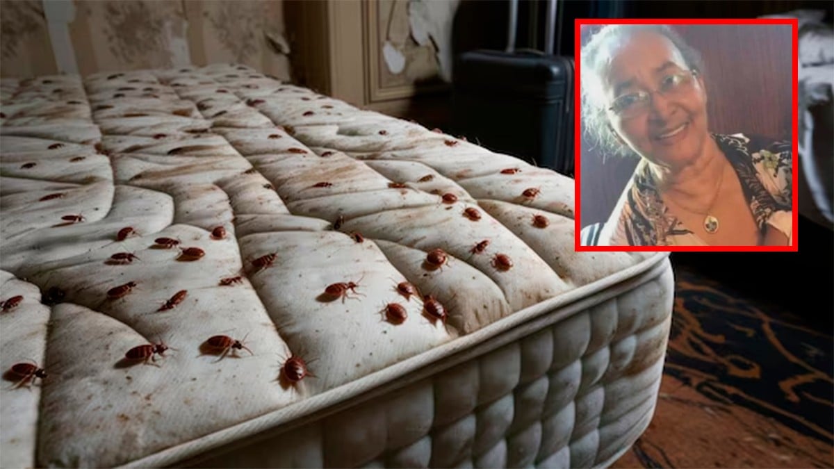 Abuelita muere devorada por chinches y cucarachas; fue hallada pegada a su colchón