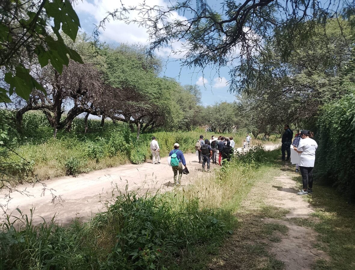 Célula Municipal de Búsqueda localizó a con vida a 246 personas