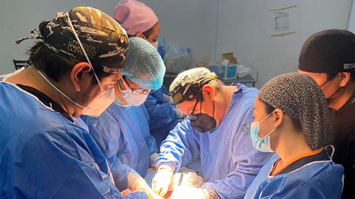 IMSS Guanajuato concreta tres donaciones multiorgánicas, beneficiando a 350 personas