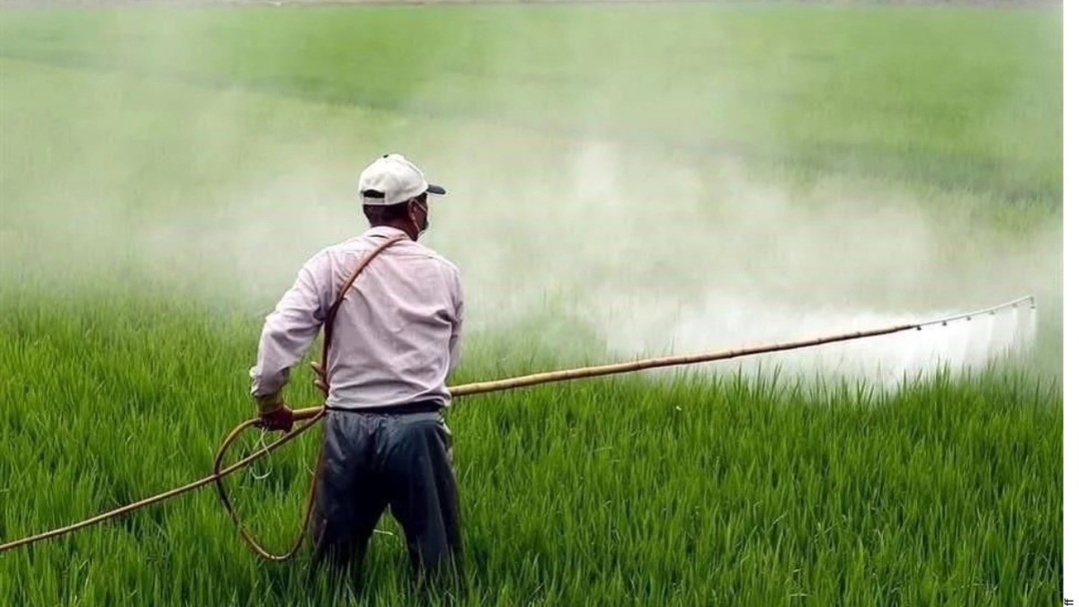 Advierten por 204 plaguicidas altamente peligrosos