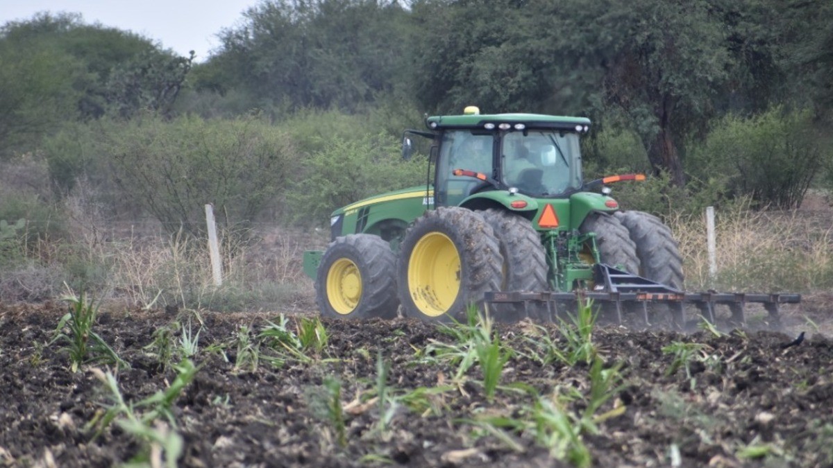 Urge reactivar apoyos al campo, sector 'desmantelado' en el último sexenio: CNC