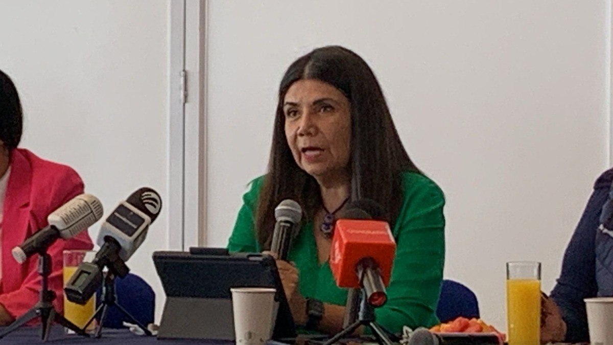 Pilar Ortega se descarta como aspirante al CDE del PAN