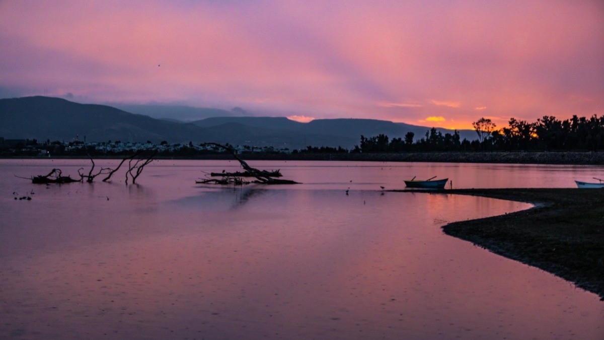 Aclarar sobre el tandeo que afecta a 143 colonias en León, exige Morena en el Congreso