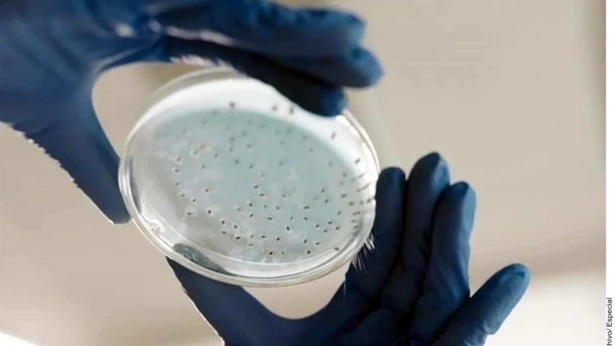 Secretaría de Salud aún no tiene confirmación de 6 casos de bacteria asesina en Guanajuato