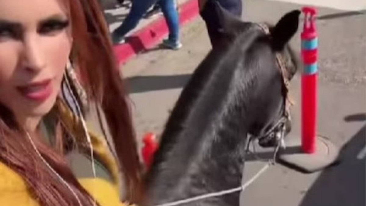 VIDEO Madre llega por su hijo a la escuela ¡en un caballo! Causa sensación en redes