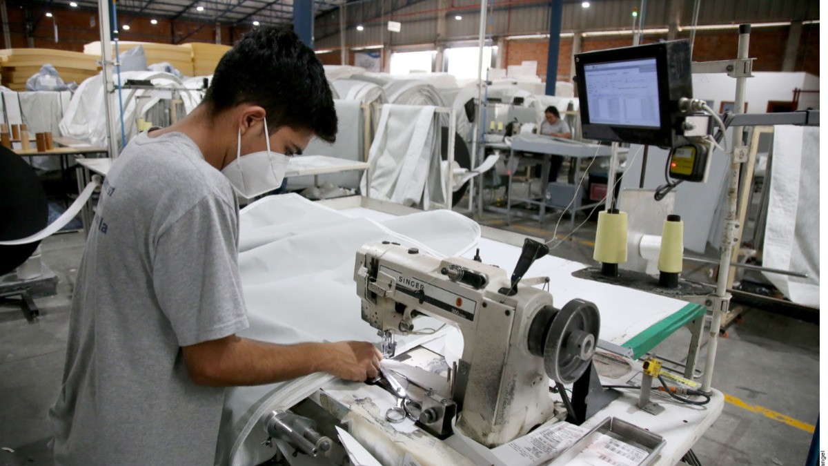 Prevén que empleo crezca 14%