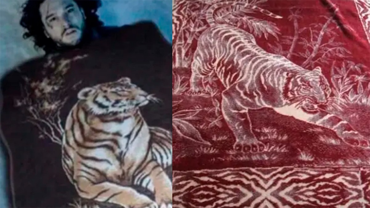 VIDEO¿De dónde viene la famosa 'Cobija del Tigre'? Te contamos su historia
