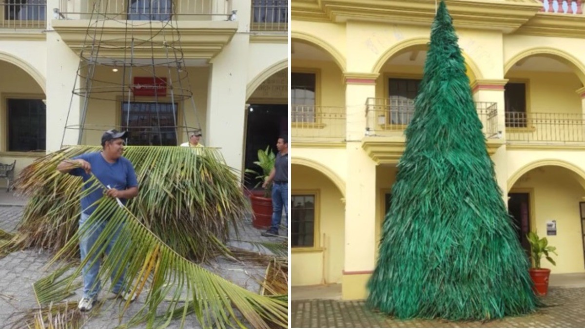 Se burlaban de él, pero los sorprende al crear un bello árbol de Navidad con ramas de palma