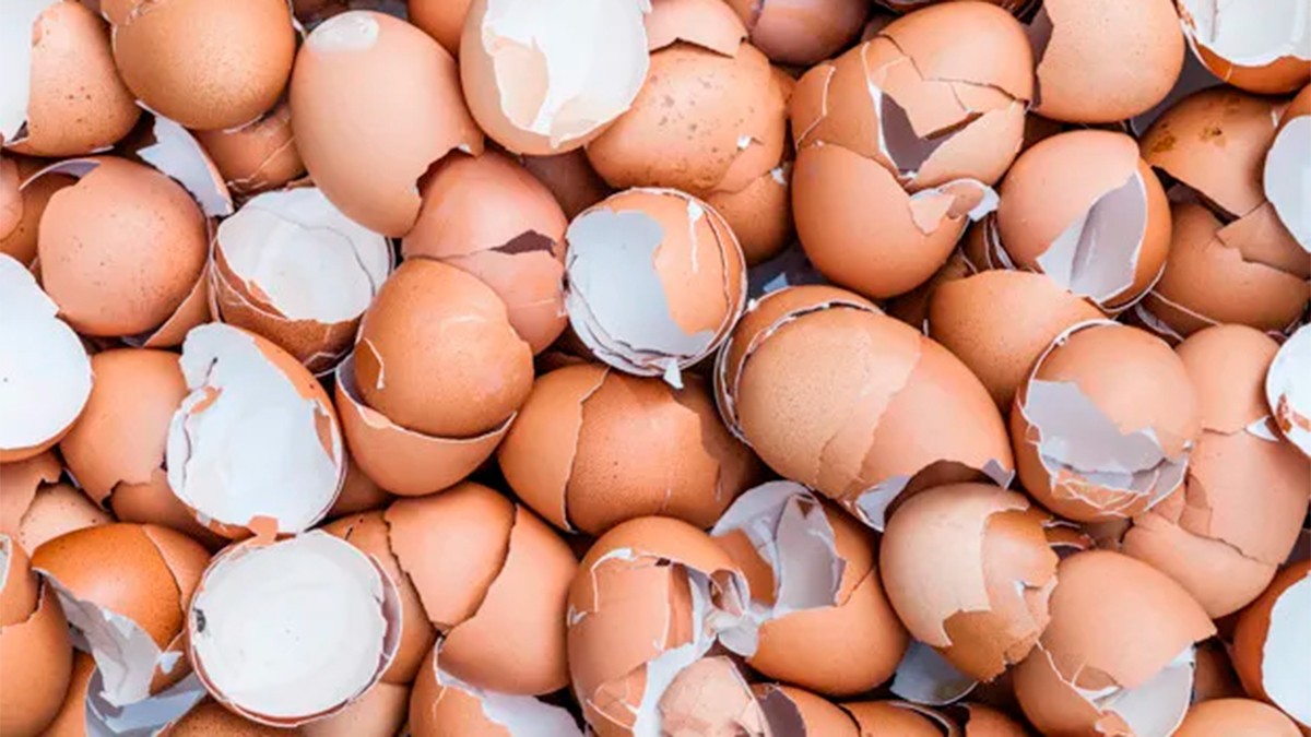 ¡No tires las cáscaras de huevo! Aquí tienes varias formas de reutilizarlas
