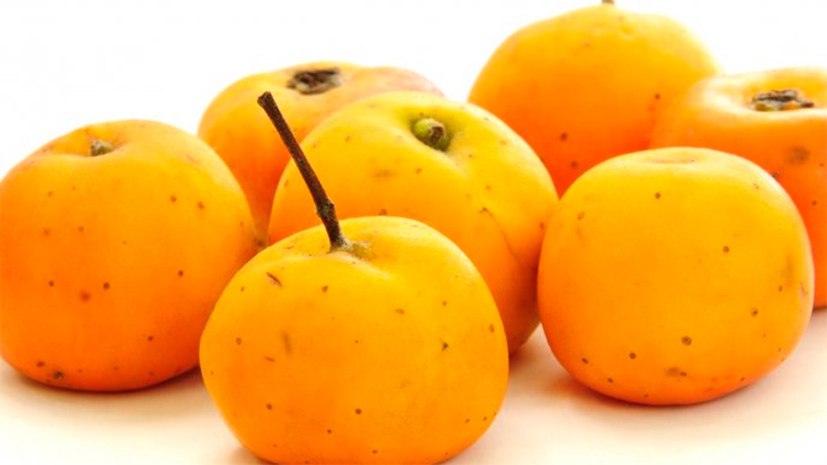 Aprovecha los beneficios del tejocote: expertos recomiendan consumirlo esta temporada