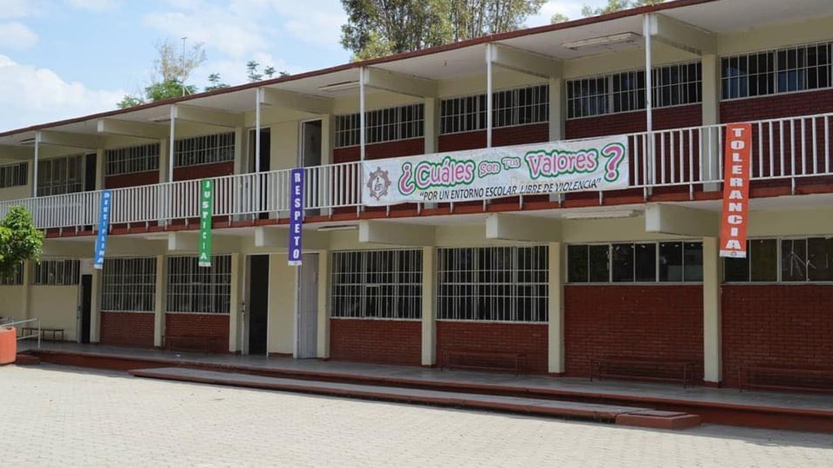 Alumnos de Secundaria 33 lanzaron piedras a panal ¡y las avispas enfurecidas los picaron!