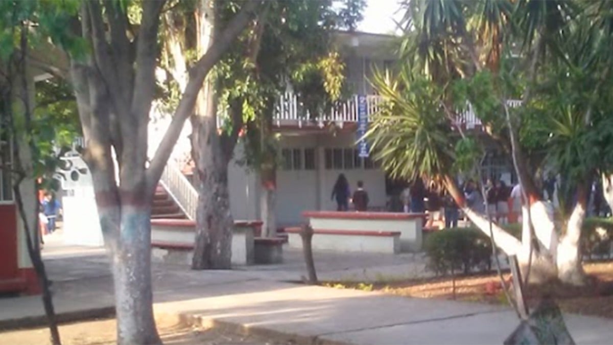 Avispas sí mandaron al hospital a tres estudiantes y este es su estado de salud