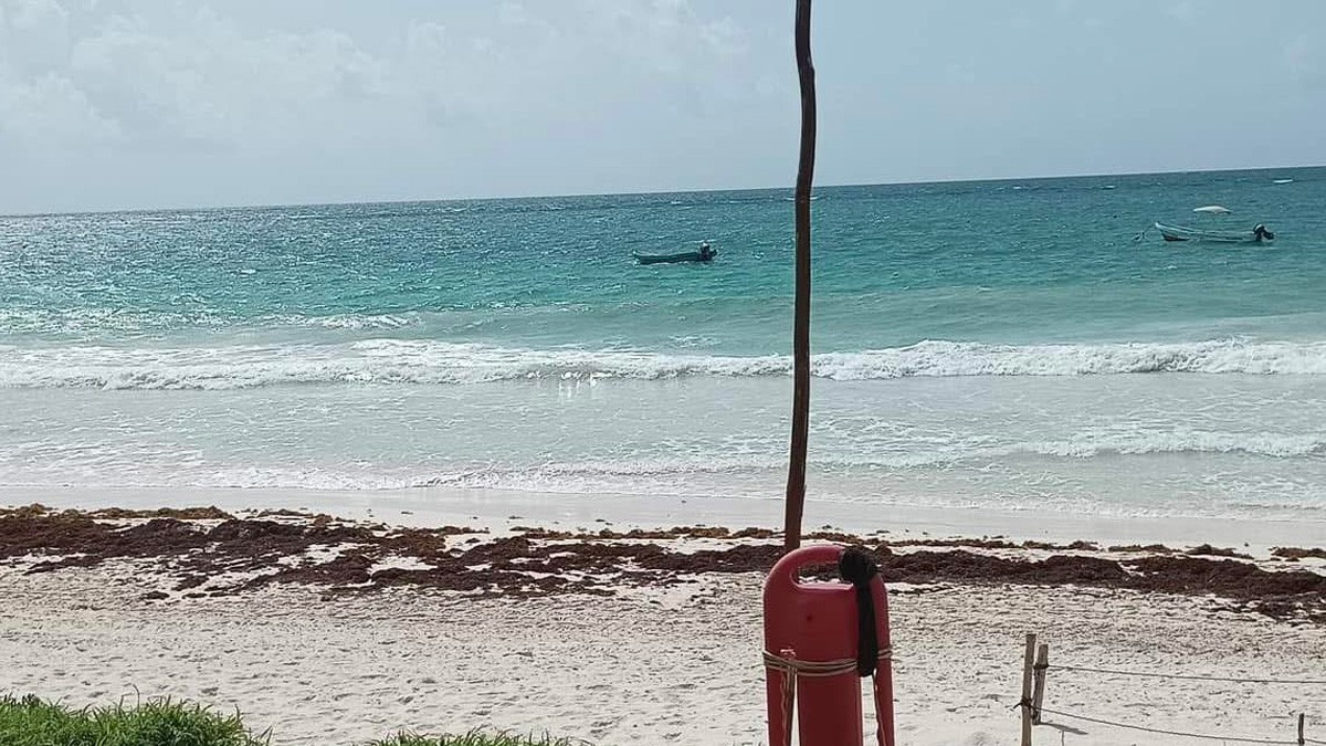 ¡Peligro en el agua! Tiburón ataca a un hombre en concurrida playa de Tulum