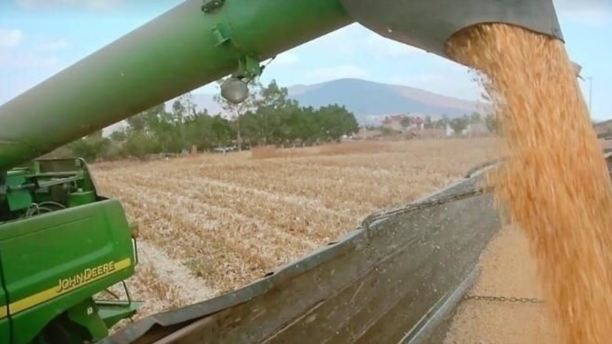 Alertan sobre prohibir maíz transgénico