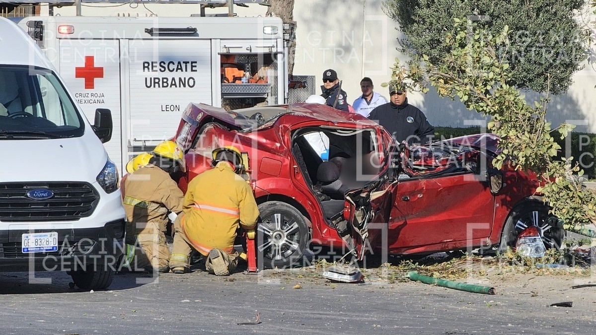 Muere mujer al chocar con árbol; su cuerpo quedó prensado y el auto se partió a la mitad