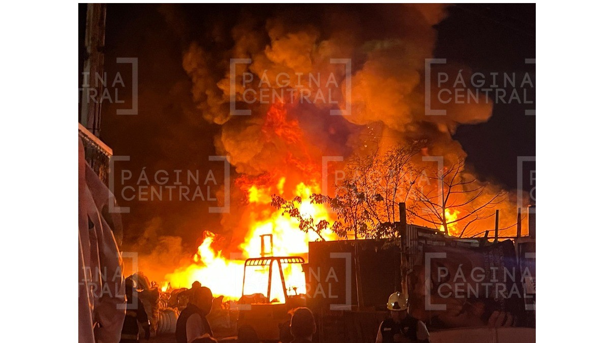 Desalojan a 15 personas por incendio en recicladora; ¡vehículos quedaron en cenizas!