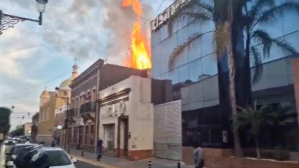 VIDEO ¡Fue por cohetes! Se quema árbol en pleno Centro de León y peatones se asustan