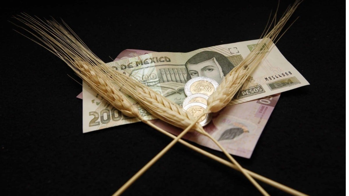 Exentan aranceles a importación de trigo y fertilizantes