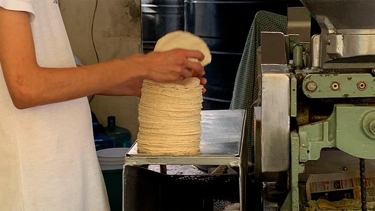 ¿Sabes cuál será el precio de la tortilla en Guanajuato para 2025? Aquí te decimos