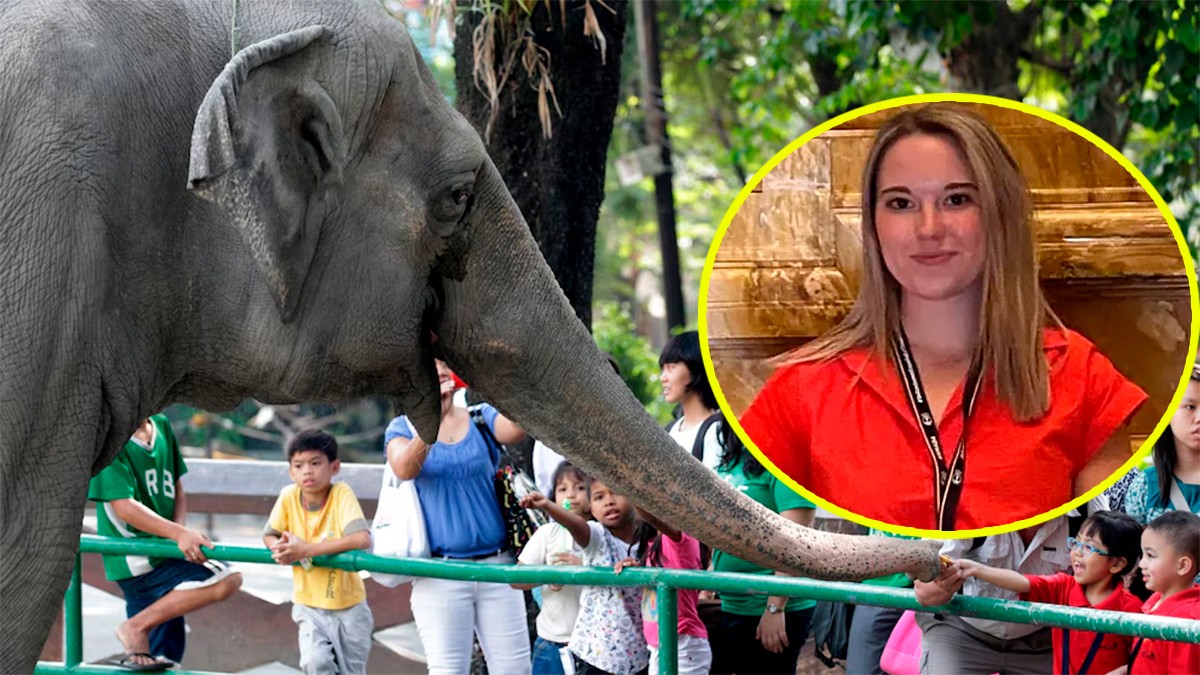 Turista visita parque de elefantes y muere al ser atacada por uno de ellos