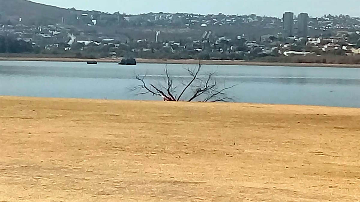 El Palote tiene solo el 17% de su capacidad, pescadores piden llenarla con agua tratada