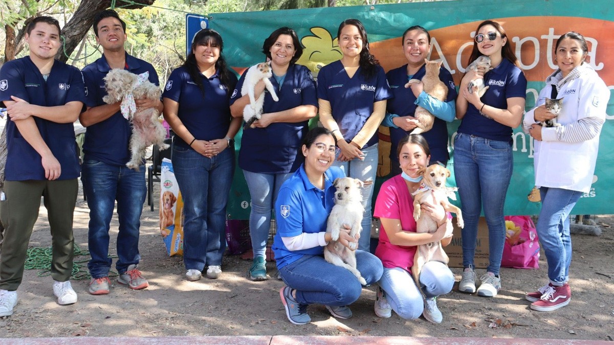 ¿Planeas regalar una mascota? CCBA de León advierte que 'no son juguetes'