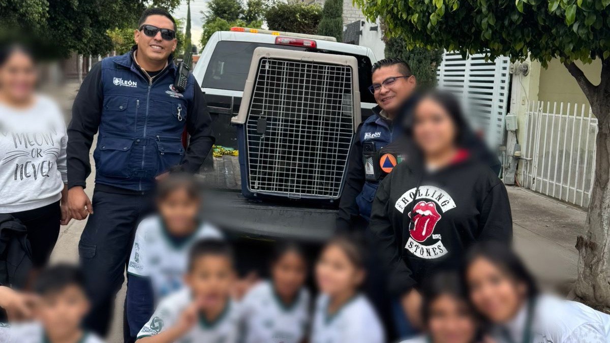 Elementos de seguridad de León y un equipo de futbol se alían para rescatar ¡a un jabalí!