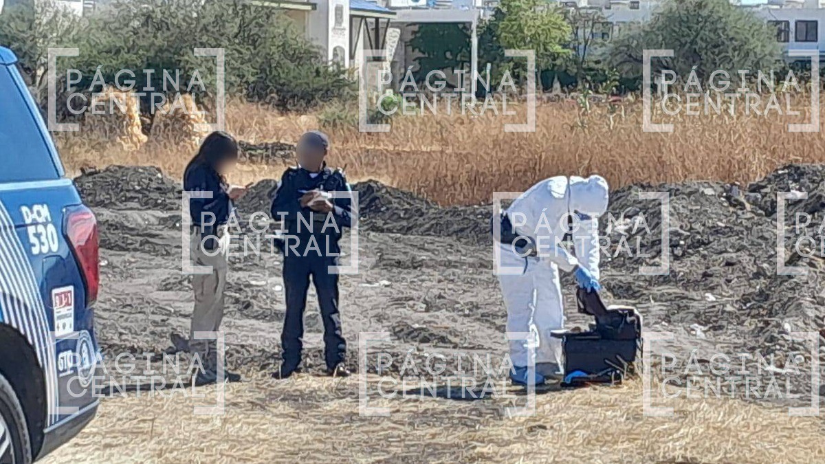 Perrito halla supuestos restos humanos al escarbar en baldío cercano al Eje Metropolitano