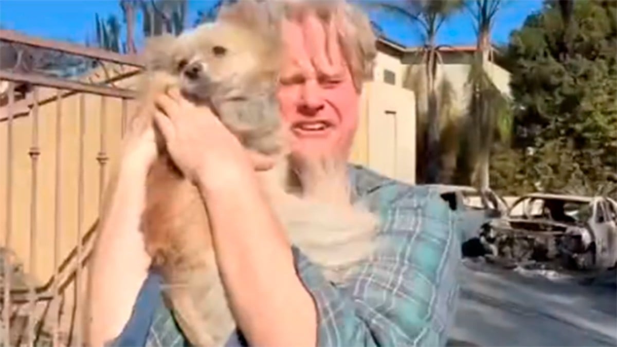 VIDEO Perdió su casa por incendios de California, pero celebra haber encontrado a su perro