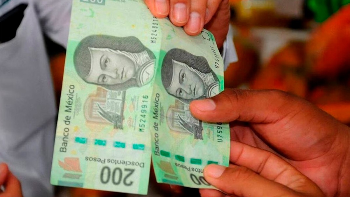 Condusef explica cómo detectar billetes falsos y qué hacer al recibir uno