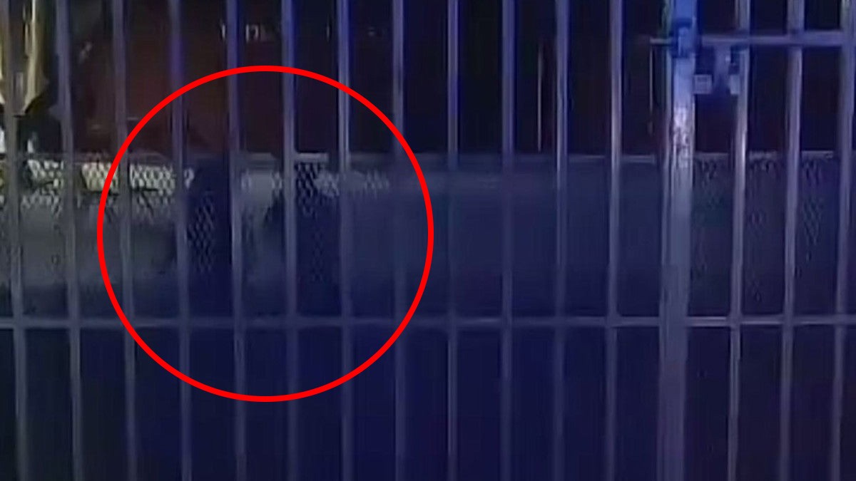 VIDEO Policías captan a presuntos niños fantasma en una primaria en la madrugada