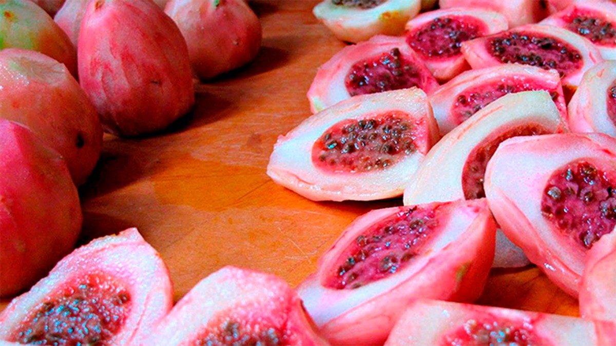 ¿Por qué el xoconostle es un superalimento? Esto dicen los expertos