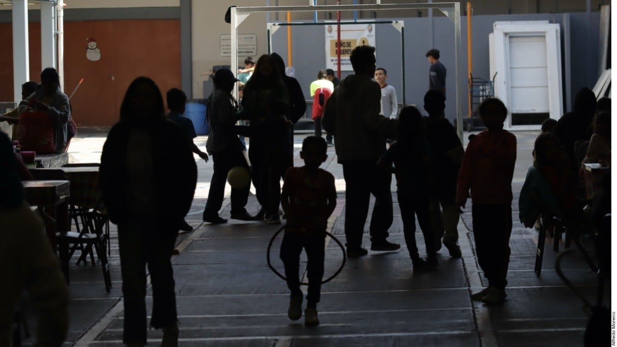 Hemos comenzado redadas: zar fronterizo