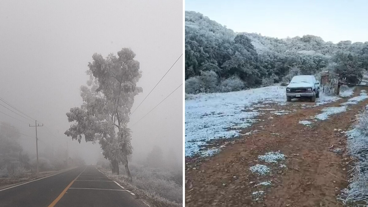 ¡Más nieve en Guanajuato! Estos municipios amanecieron helados y entre nevadas