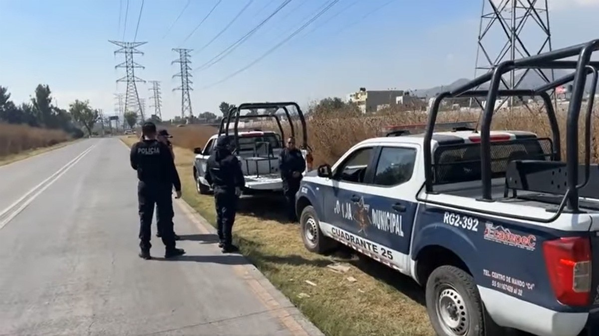 VIDEO ¡Imágenes fuertes! Captan a un perro mientras consumía restos humanos