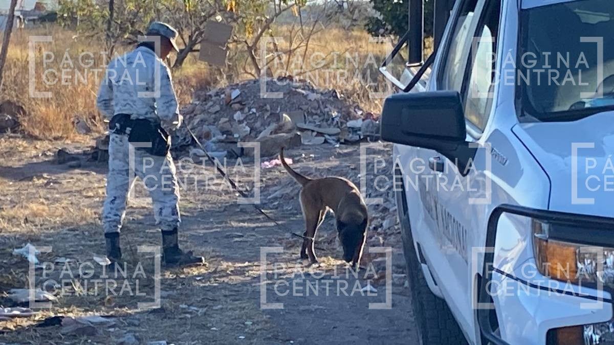 Célula de Búsqueda Municipal encuentra restos humanos en León