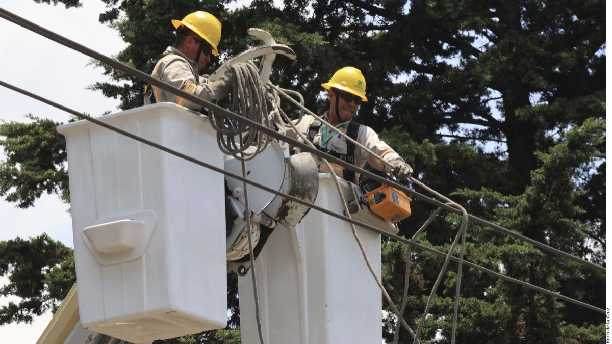 Esto es lo que puede hacer la CFE si robas la luz o haces mal uso del servicio