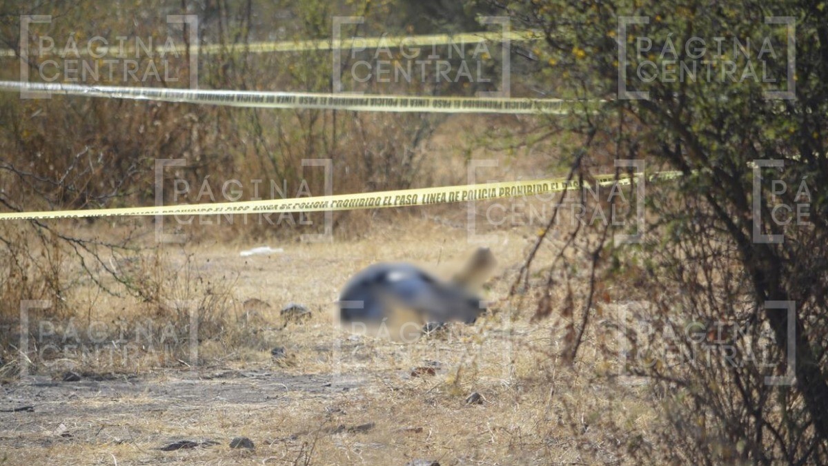 Vecino iba caminando por Paseo de la Fragua y descubre cuerpo de hombre en un baldío