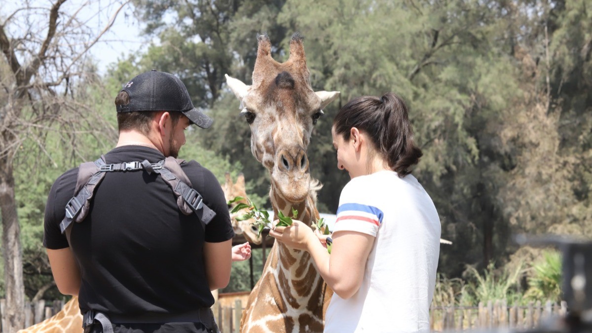 ZooLeón creará departamento especial para cuidar sus especies e instalaciones