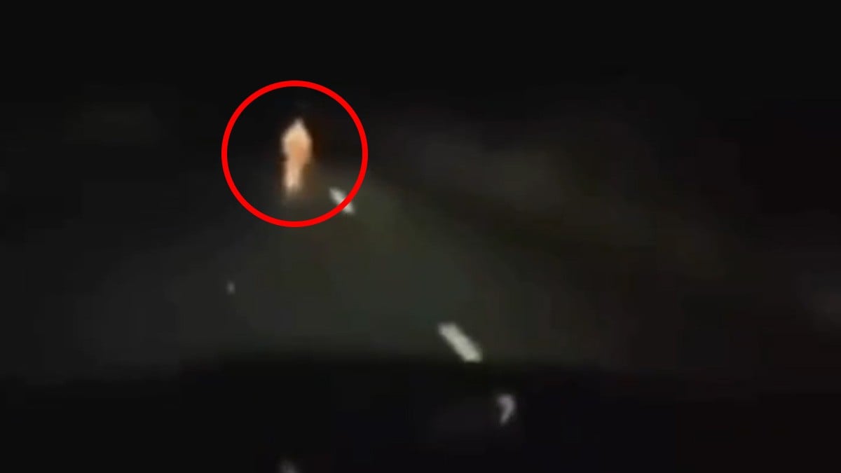 VIDEO ¿Será verdad? Trailero capta a presunto niño fantasma en la carretera