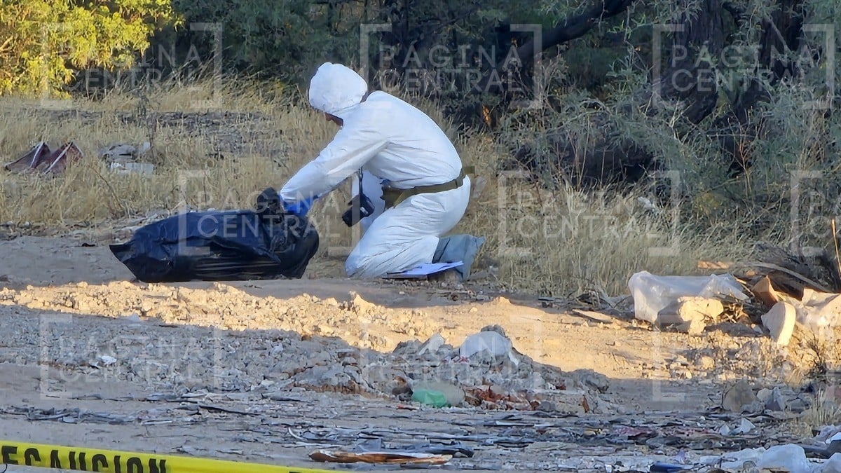 Vecinos de Los Ángeles iban caminando cuando vieron que de una bolsa salía ¡una rodilla!