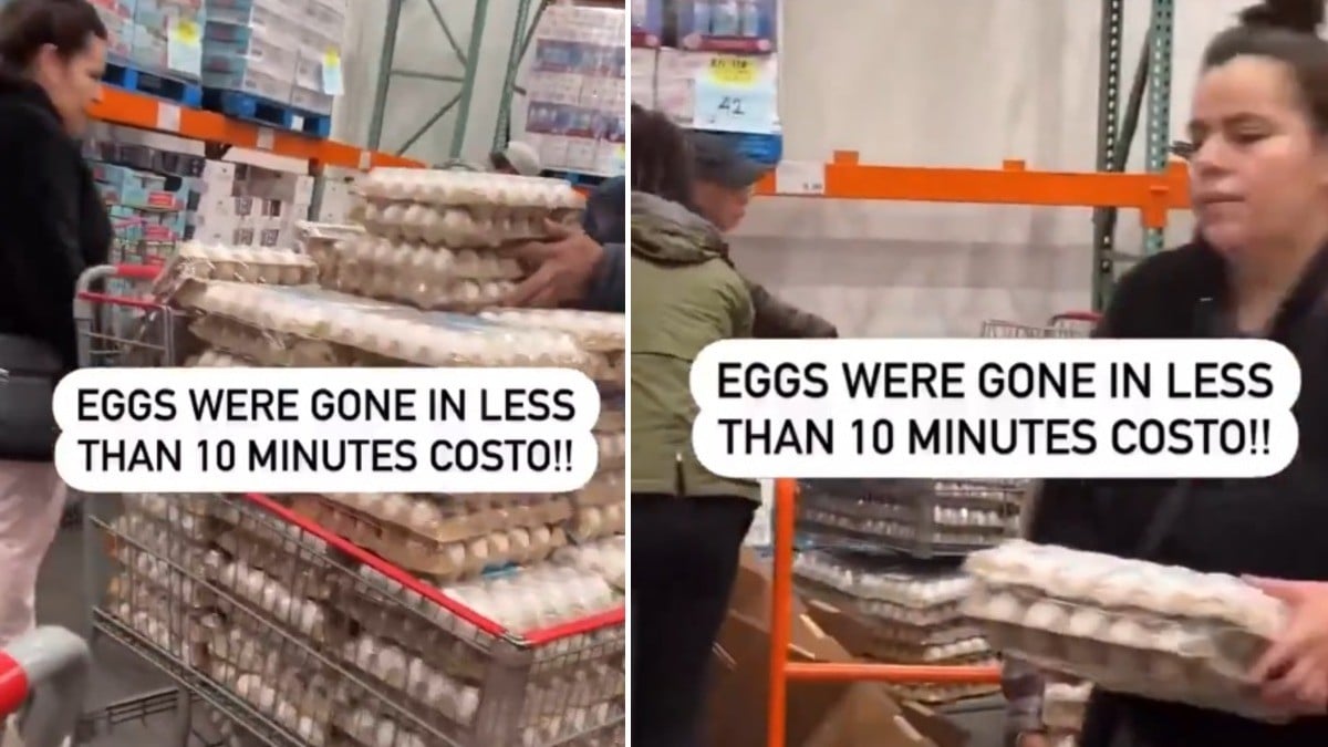 VIDEO Estadounidenses pelean por huevo en tiendas ante escasez y aumento de precios