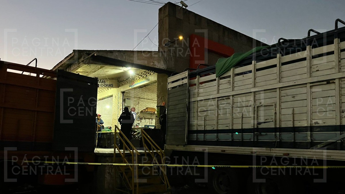 Descargaban piñas en la Central de Abastos y llegan a balearlos