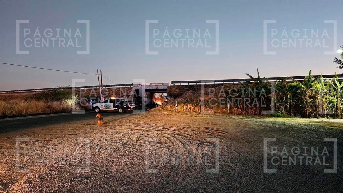 Encuentran cinco cuerpos colgados debajo de un puente en la autopista