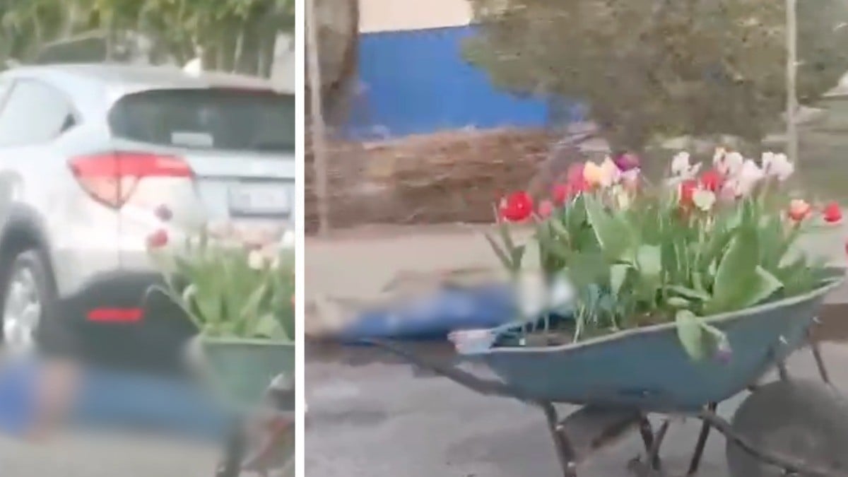Mujeres vendían tulipanes en una carretilla, cuando de repente las balearon, una murió