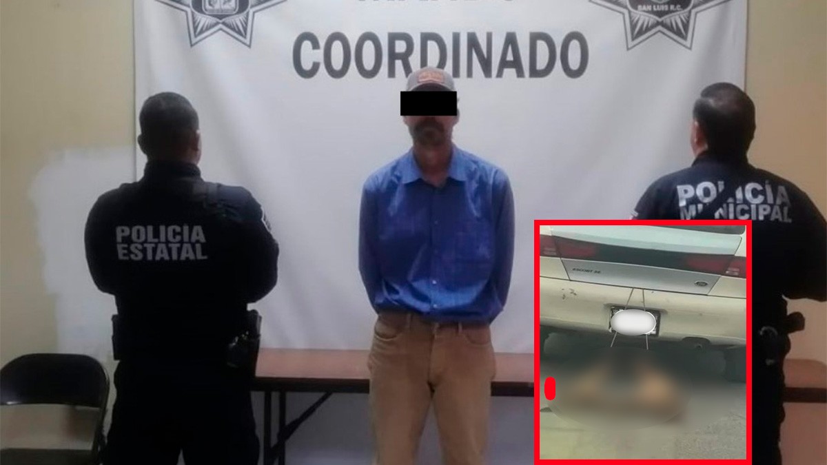 Hombre es denunciado y detenido por arrastrar a dos perritos con su carro