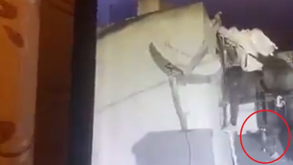 VIDEO Captan a ladrón al intentar entrar a casa, pero vio esto y se retiró de inmediato