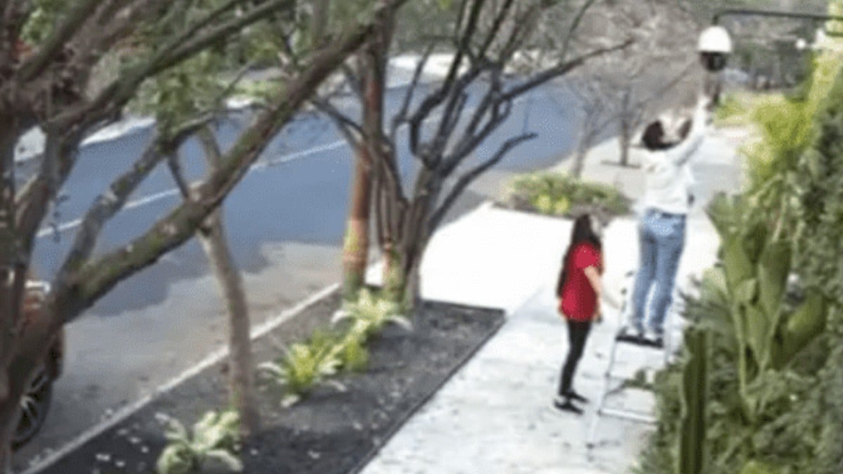 Mujer intenta irrumpir en un domicilio, la detienen y finge acoso de parte de los policías