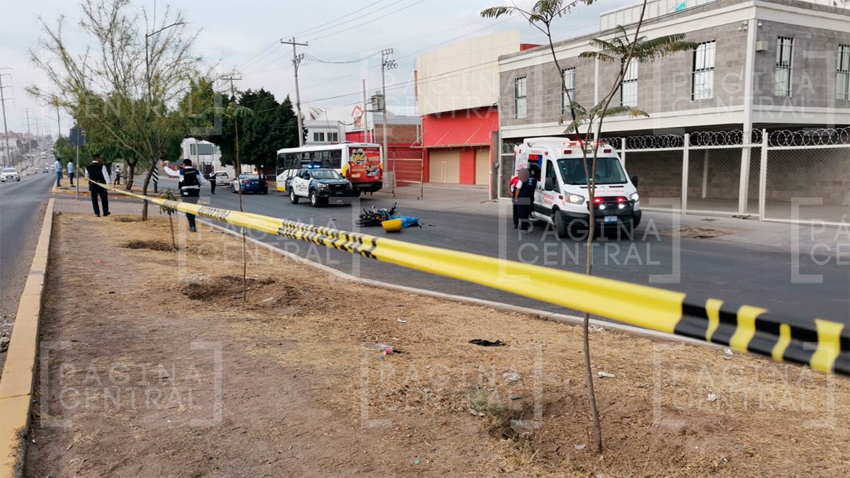Motociclista se impacta con la parte trasera de un camión urbano y fallece